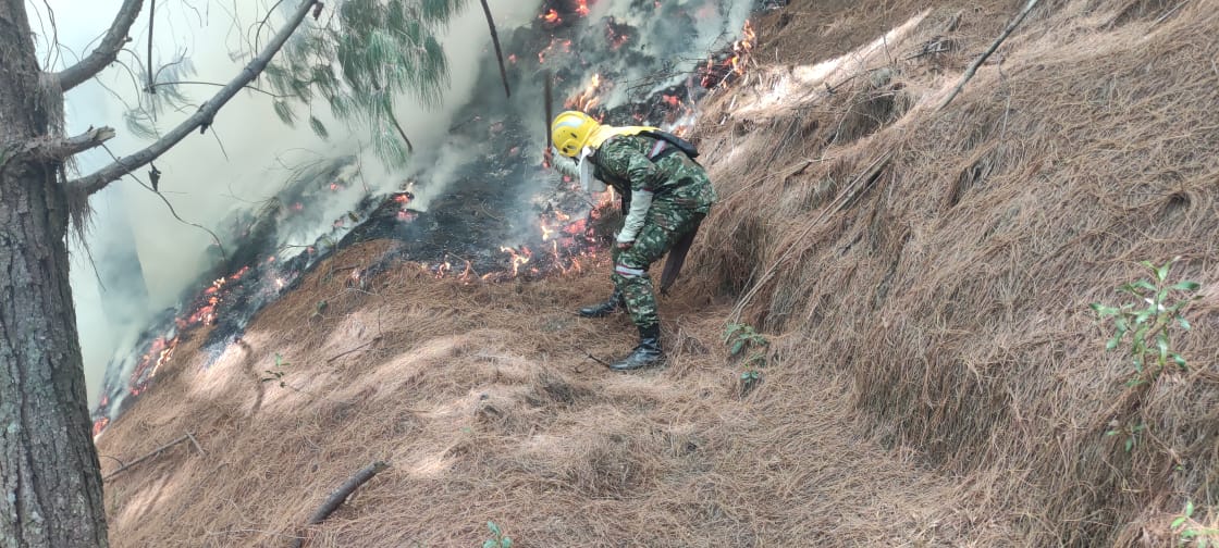 Impactantes Imágenes Dejaron Múltiples Incendios En Bogotá | El Nuevo Siglo